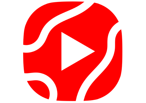 Transcript Thief From Video Url