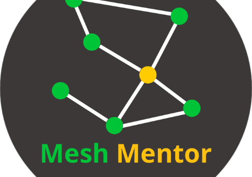 Mesh Mentor