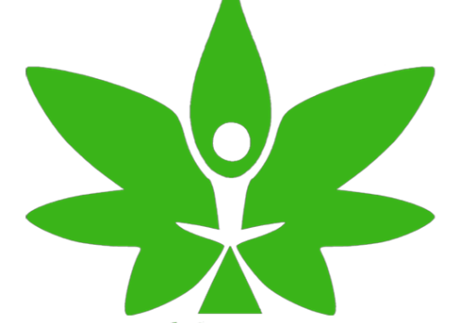 Free Ai CBD Guide